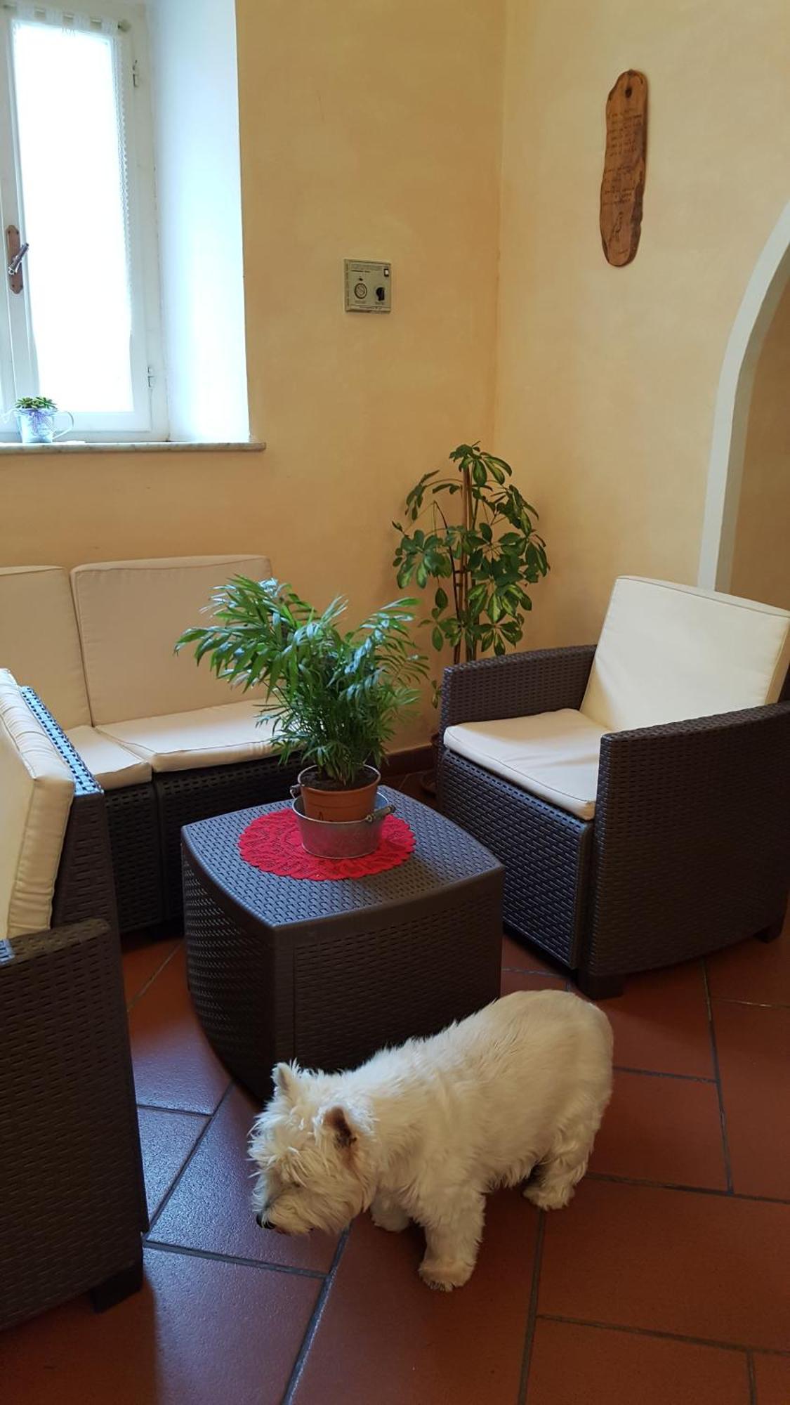 Hotel Bambolo Castagneto Carducci Luaran gambar